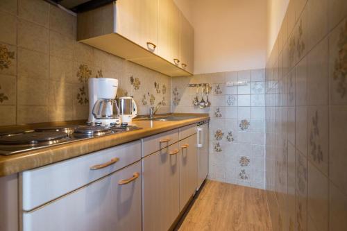 Apartamento Haus Ahorn 5