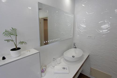 Apartment Cerovi?