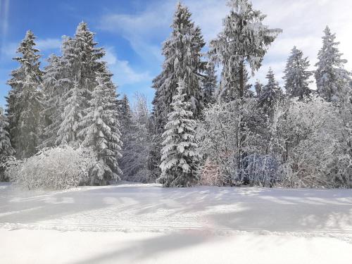Apartamento Ferienwohnung Waldblick Oberhof