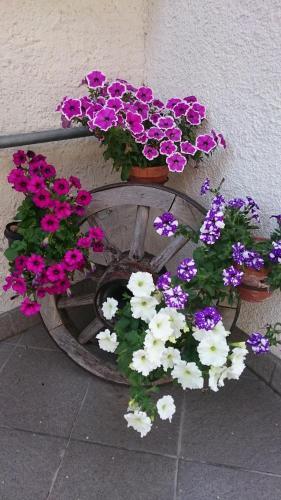 Hotel Pension Thalerhof