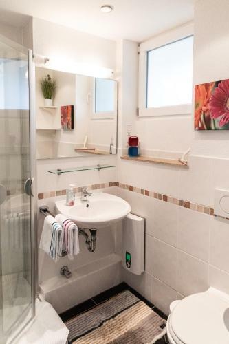 Apartment "k�hler" Mit Berg- Und Bodenseesicht