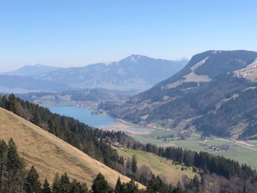 Apartamento Ferienwohnung Alpenblick