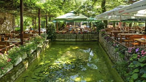 Villa Sunflower House With A Pool