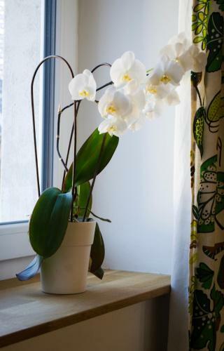 Apartamento Ferienwohnung Oma Else