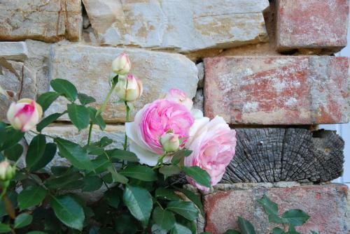 Bed & Breakfast Tillac Chambres D'h�tes
