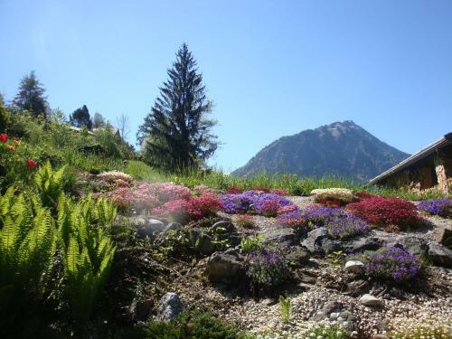 Apartamento Haus Bergheimat