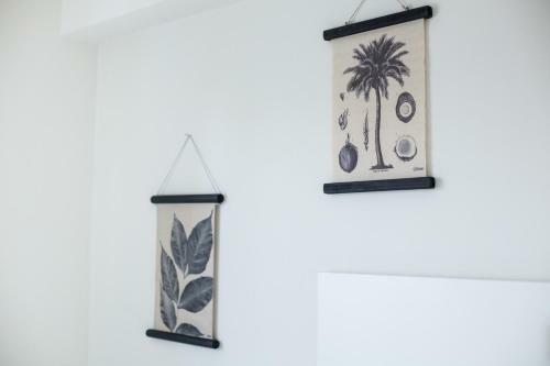 Apartment Rova