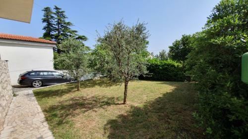 Apartment Bella Mare