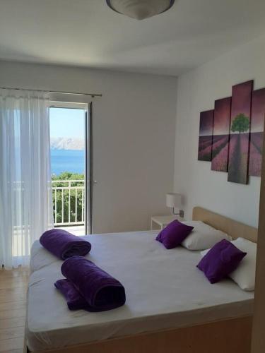 Apartment Novi Vinodolski 15412a