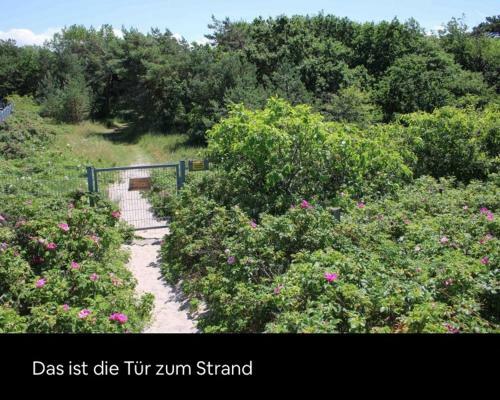 Apartamento Die Kleine Acht - Direkt Am Strand