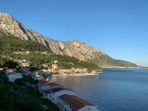 Apartamento Bouganville Seafront Studio