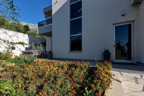 Luxury Apartments Diamond