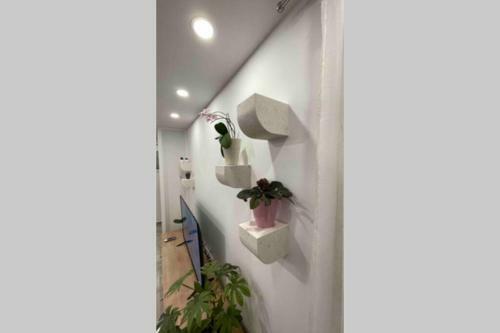 Luxury Apartman Bili