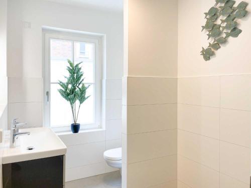 D�nenliebe, Apartment 12