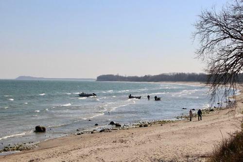 Haus Seestern Mit Strandkorb Inkl