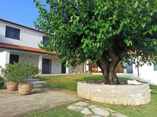 Villa Ivana