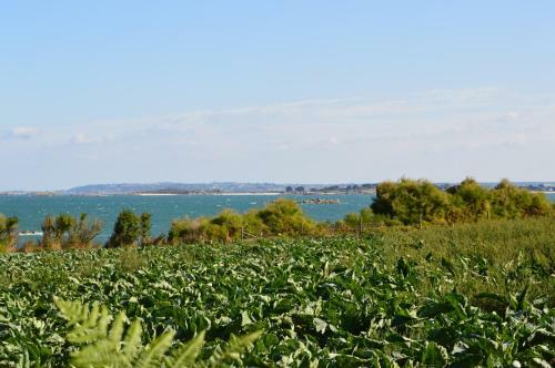 Bed & Breakfast Manoir De Lesplouenan