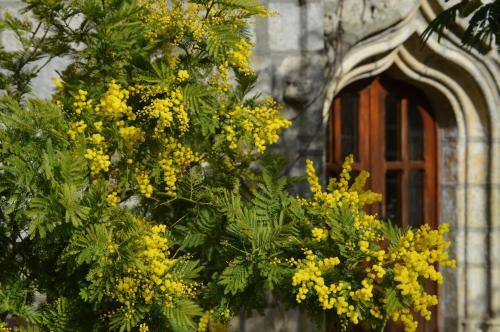 Bed & Breakfast Manoir De Lesplouenan