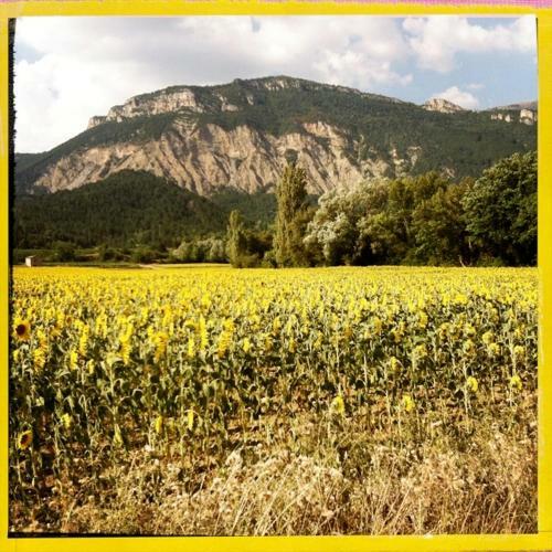 Bed & Breakfast Le Vin De L'et�