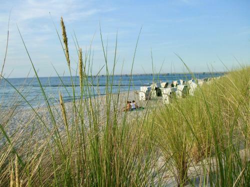 Discovair Graal M�ritz- Apartment Johanna- Strandnah Mit Netflix