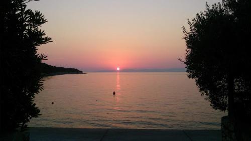 Apartment Apartman Ruza