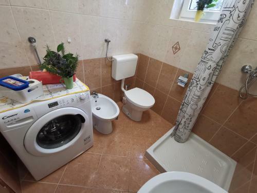 Apartment Zoanda