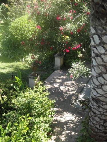Bed & Breakfast Casa Montes