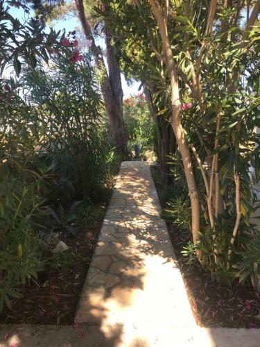 Apartamentos Holiday Home Nova