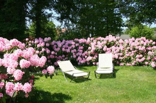 Apartamentos Pension Villa Edelwei�