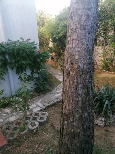 Novalja Gajac Zrce, Apartment Garden
