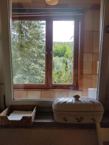 Apartamento G�stehaus Piesau