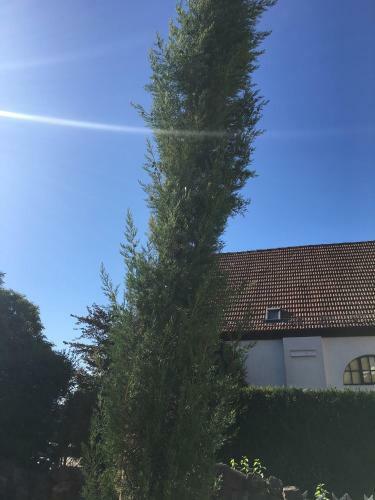 Apartamento Tor Zum Pf�lzerwald