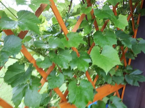 Apartamento Ferienwohnung H�gelhaus