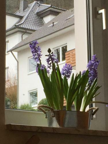 Apartamento Ferienwohnungen Lennetal