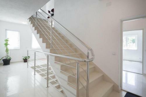 Apartamento House Carso Olea