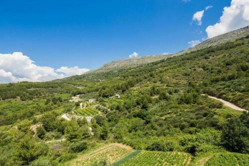 Apartamento House Carso Olea