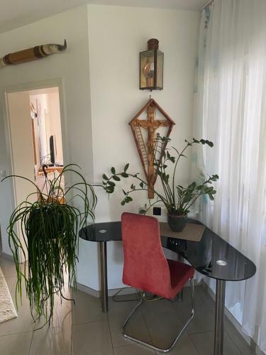 Apartamento Luxus Fewo - Spannagl