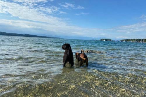 Apartamento Nemos Paradies - Top Lage Am See Und Sbahn