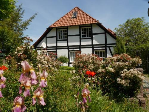Apartamento Ferienwohnung Weserblick Polle