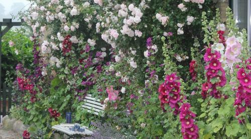 Agroturismo Ferienwohnung Gartenblick