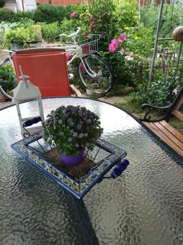 Apartamento House In The Village