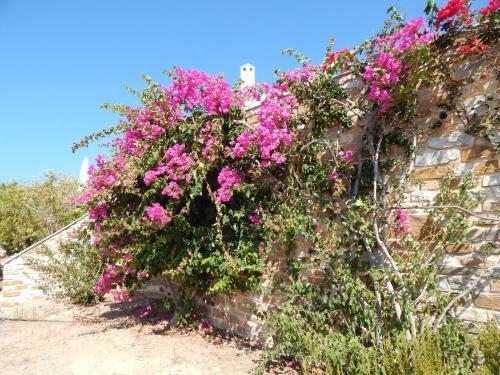 Villa With Extraordinary View Near The Sea
