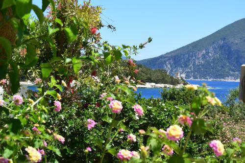 Fiscardo View Apartment