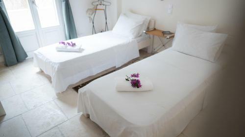 Waterfront Luxury Paradise House Apart3