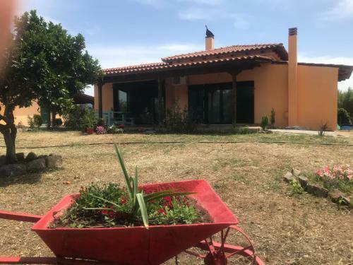 Agroturismo Country House