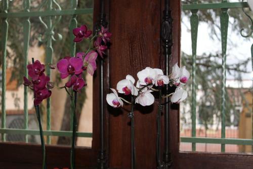 Bed & Breakfast Chambres D'h�tes Les M�neaux
