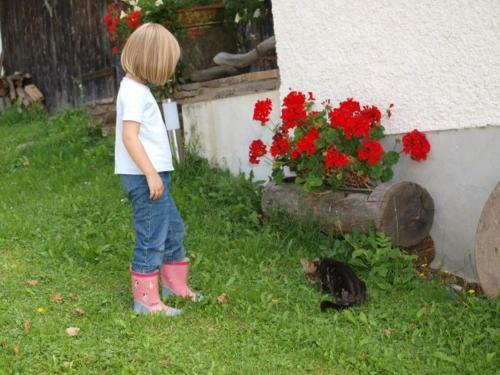 Agroturismo Hochfelner - Stockerhof