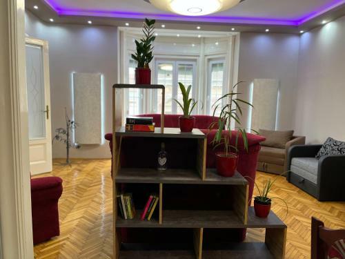 Sz�chenyi Apartman (iv Deluxe) Miskolc Belv�ros�ban