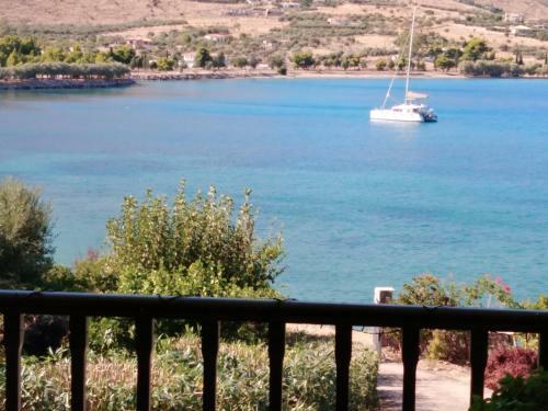 Villa Aphrodite's Coast Retreat House!