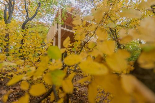 Apartamento Treehouses Noszvaj